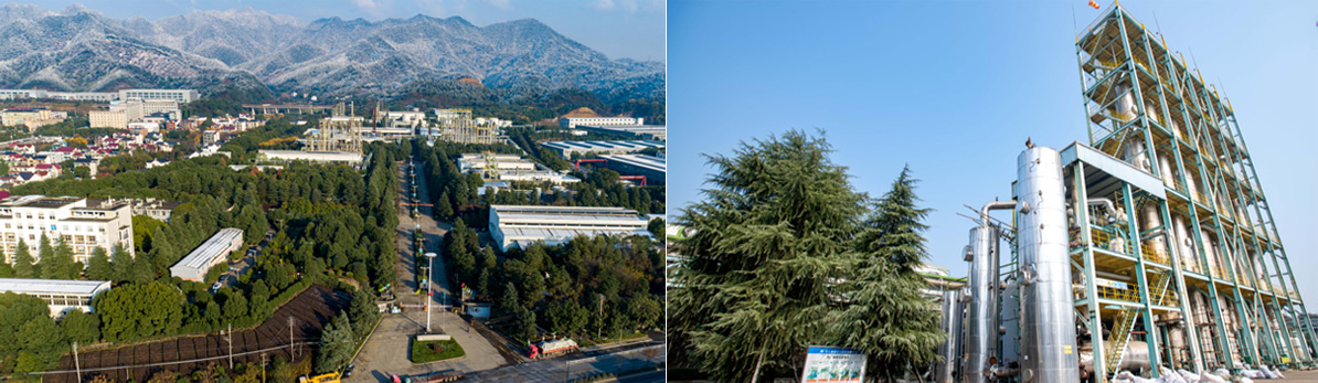 浙江神殿娱乐化工股份有限公司